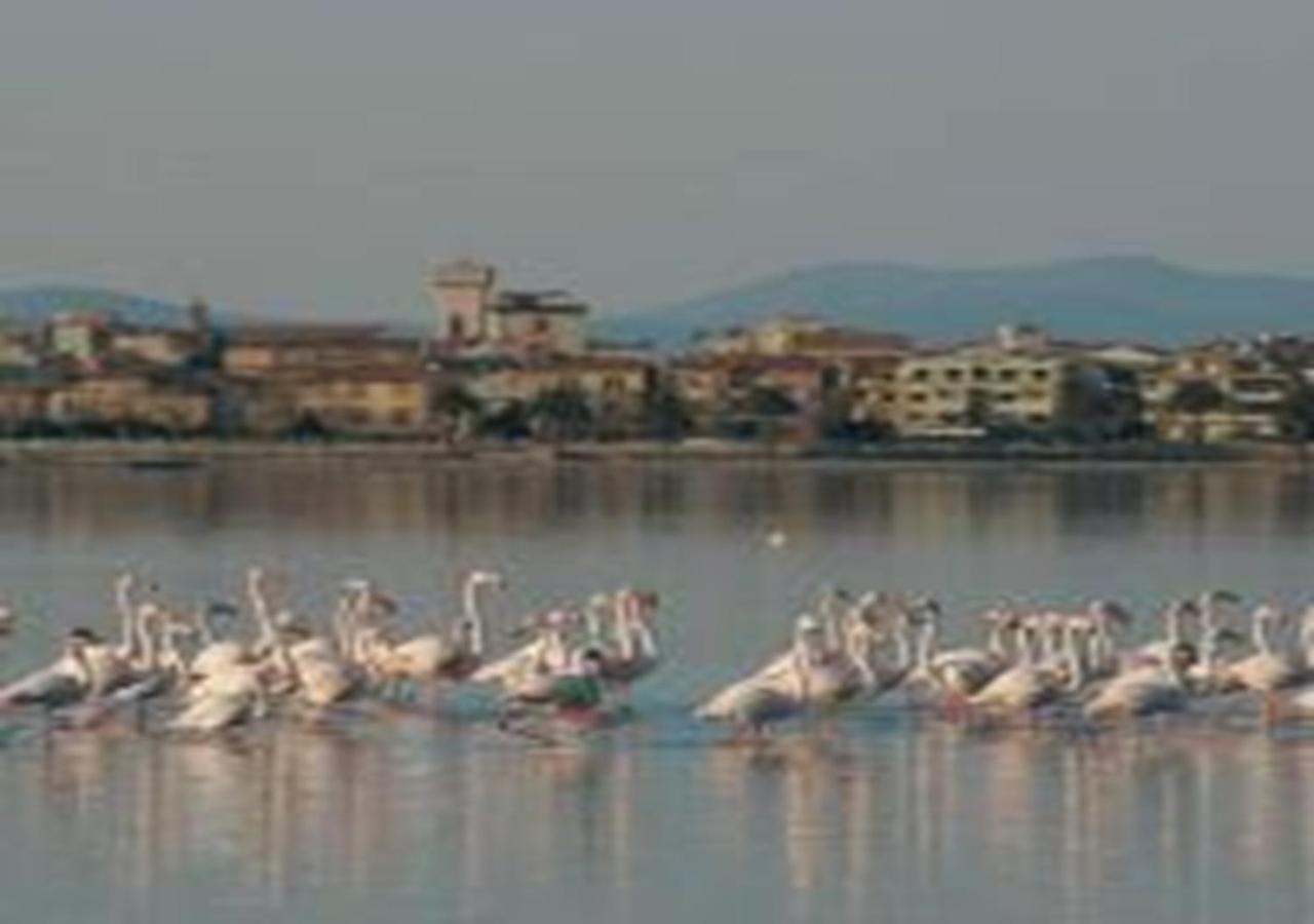 App - Il Fenicottero Con Parcheggio Gratuito Ad Orbetello Villa Exterior photo